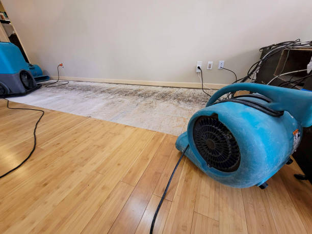Professional Water Damage Repair technician working in Weldon, NC